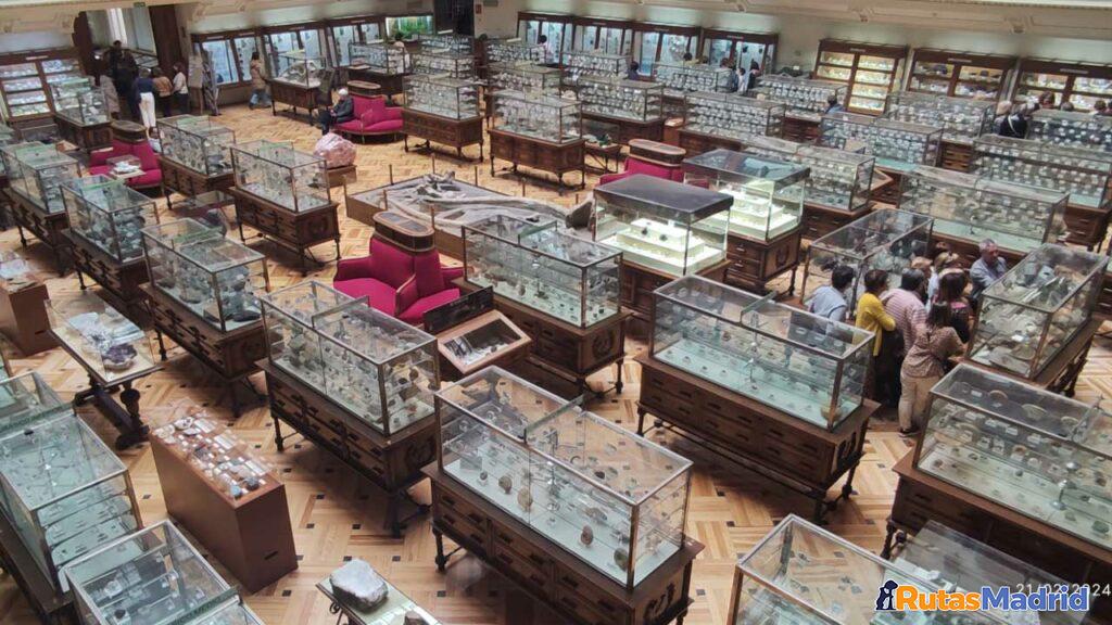 Colecciones y Exposiciones del Museo Colecciones y Exposiciones del Museo